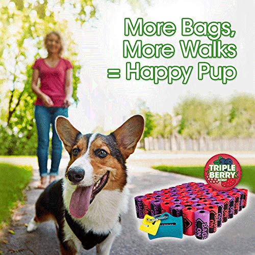 Bags on Board Odor Control Dog Poop Bags and Dispenser | Strong, Leak Proof Dog Waste Bags | Triple Berry Scent | 9 x14 Inches, 900 Waste Pickup Bags (3203940074)