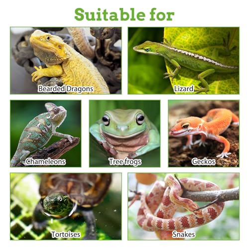 PINVNBY 14 PCS Reptile Plants Sets, Bearded Dragon Hammock, Terrarium Hanging Plant Vines Artificial Leaves, Reptile Habitat Climbing Decorations for Chameleons, Lizards, Geckos, Snakes