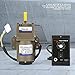 Motor de Engranajes de CA, 220V 6W Motor Asíncrono M206-402 Monofásico 4...