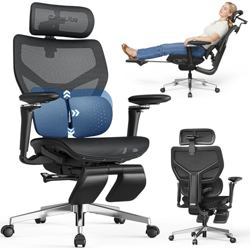 Ergonomic Office Chair Lumbar Support - Over 10 Hours
