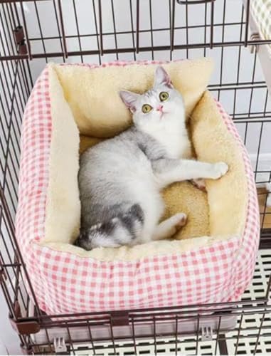 CHIANART ybg }bg P[Wp L xbh Ȃ Rt RŌŒł ӂӂ  o[Vu _炩 􂦂  NbV zc 藎h~ ʔN (sN,M)