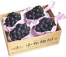 515C9x5bYeS._AC_SY200_QL15_.jpg