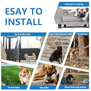 25ft dog tie out cable dog leash heavy duty tie out cable for large dogs up to 500lbs pull force dog runner for yard outdoor and camping blue   cucciolini doodles