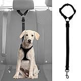 Durabilidad: nuestra correa está hecha de nailon de alta calidad para garantizar durabilidad y seguridad para usted y su mascota. Utilizamos hebillas de metal sólido para mayor durabilidad.