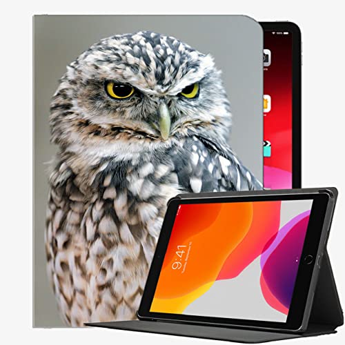 Estuche para iPad (Modelo de 9.7 Pulgadas, 2018/2017, 6ta / 5ta generación), Búho Glanco de Aves 756 Caja de Concha Delgada de la Caja para iPad 9.7 Pulgadas