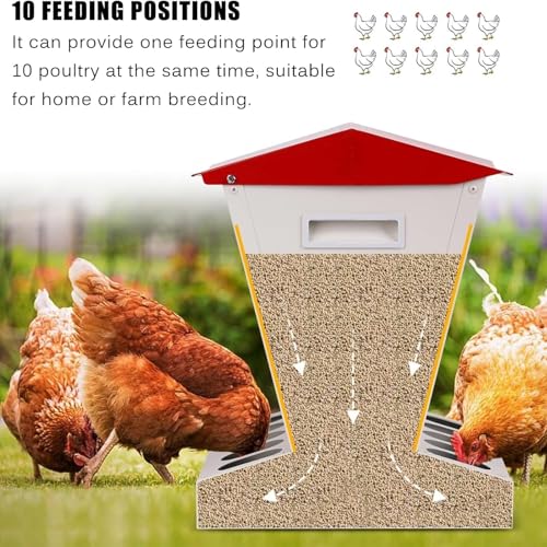 Comedero automático para pollos, comedero de aves de corral de 10 agujeros para exteriores con tapa de acero inoxidable para una cómoda alimentación bajo demanda, ideal para criar bantamos, faisanes