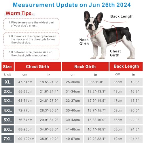 Combinaison de récupération pour grand chien après chirurgie