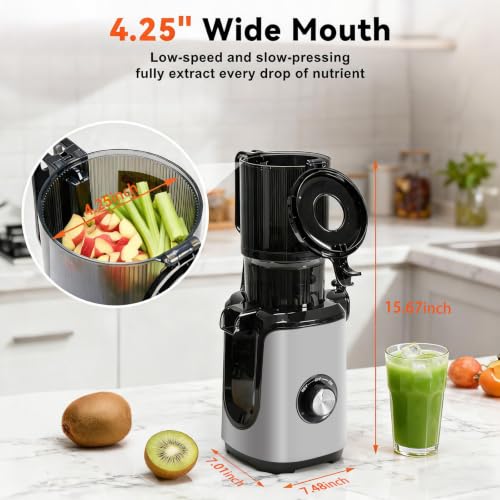 Image of NEWBULIG Cold Press Juicer Machines for Vegetables & Fruits, Silver | Slow Masticating Juicer Machine with Reverse Function, 4.25 inch Feed Chute, Stops Oxidation and Easy to Clean