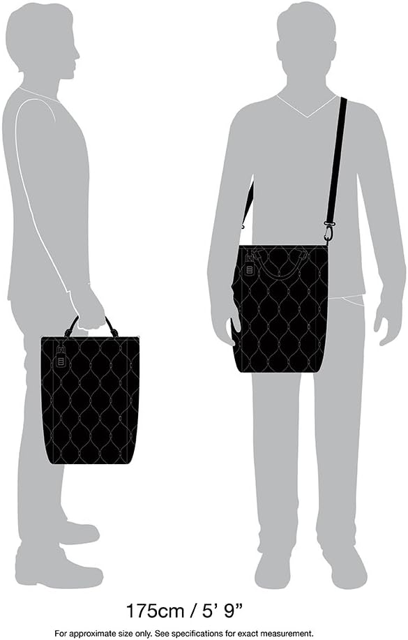 Pacsafe Travelsafe X15-16 Liter Portable Lockbox for Travel (Flat Design) - Fits 15 inch Laptop incl. TSA Accepted Combination Lock with Patented, Stainless Steel Mesh (Black)