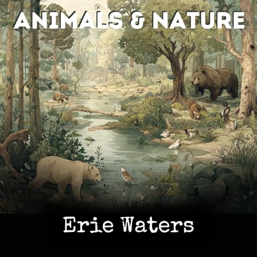 Erie Waters cover art
