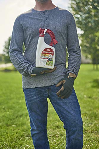 Ortho Lawn Landscape hose sprayer