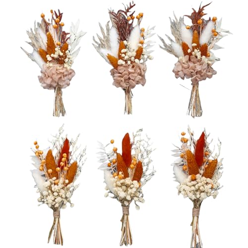 xin's convey Mini Dried Flower Bouquet Set of 6, Groom's and Best Man's Boutonnieres, Dried Flower Gift Box, Boho Wedding Plate Decoration, Birthday Cake Arrangement (Terracotta)