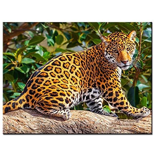 Peinture diamants guépard pour un moment de détente créative adulte