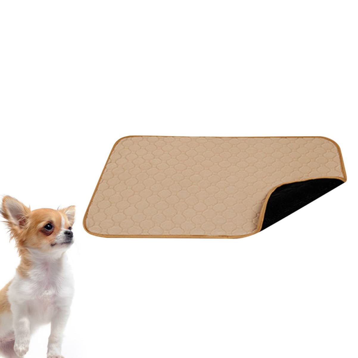 FRCOLOR Tappetino Igienico Lavabile per Cani e Cuccioli, Riutilizzabile, Assorbente, , Confortevole per Casa e Addestramento