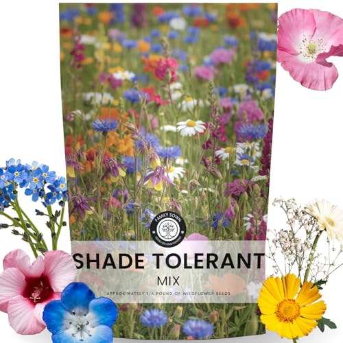 Shade Tolerant Mix – 56,000 Wildflower Seeds for Pollinator Gardens – 2026 Season – 4 Ounce Pouch