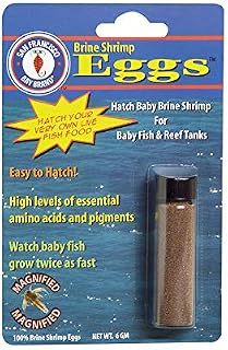 San Francisco Bay Brand Brine Shrimp Eggs 0.2-Ounces (6 Grams) Vial