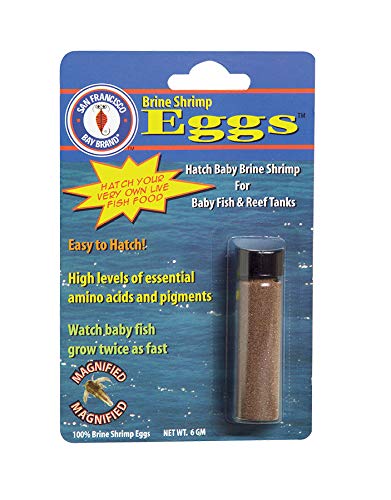 San Francisco Bay Brand Brine Shrimp Eggs 0.2-Ounces (6 Grams) Vial