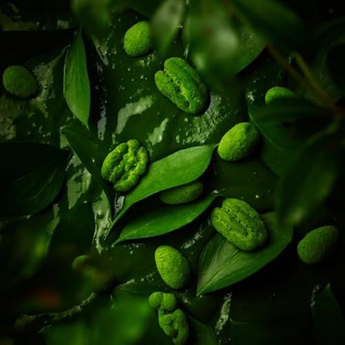 TREEE'S KYOTO（ツリーズ キョウト） お濃茶ナッツショコラ缶 抹茶スイーツ 高級ギフト 京都 お洒落 人気のサムネイル