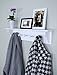 Ballucci Floating Coat and Hat Wall Shelf Rack, 5 Pegs Hook, 24