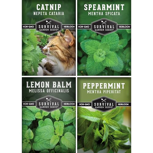 Survival Garden Seeds Mint Collection Seed Vault - Peppermint, Spearmint, Lemon Balm and Catnip Seeds - Grow Herbal Tea & Culinary Herbs - Non-GMO Heirloom Herbs for Outdoor and Indoor Gardens