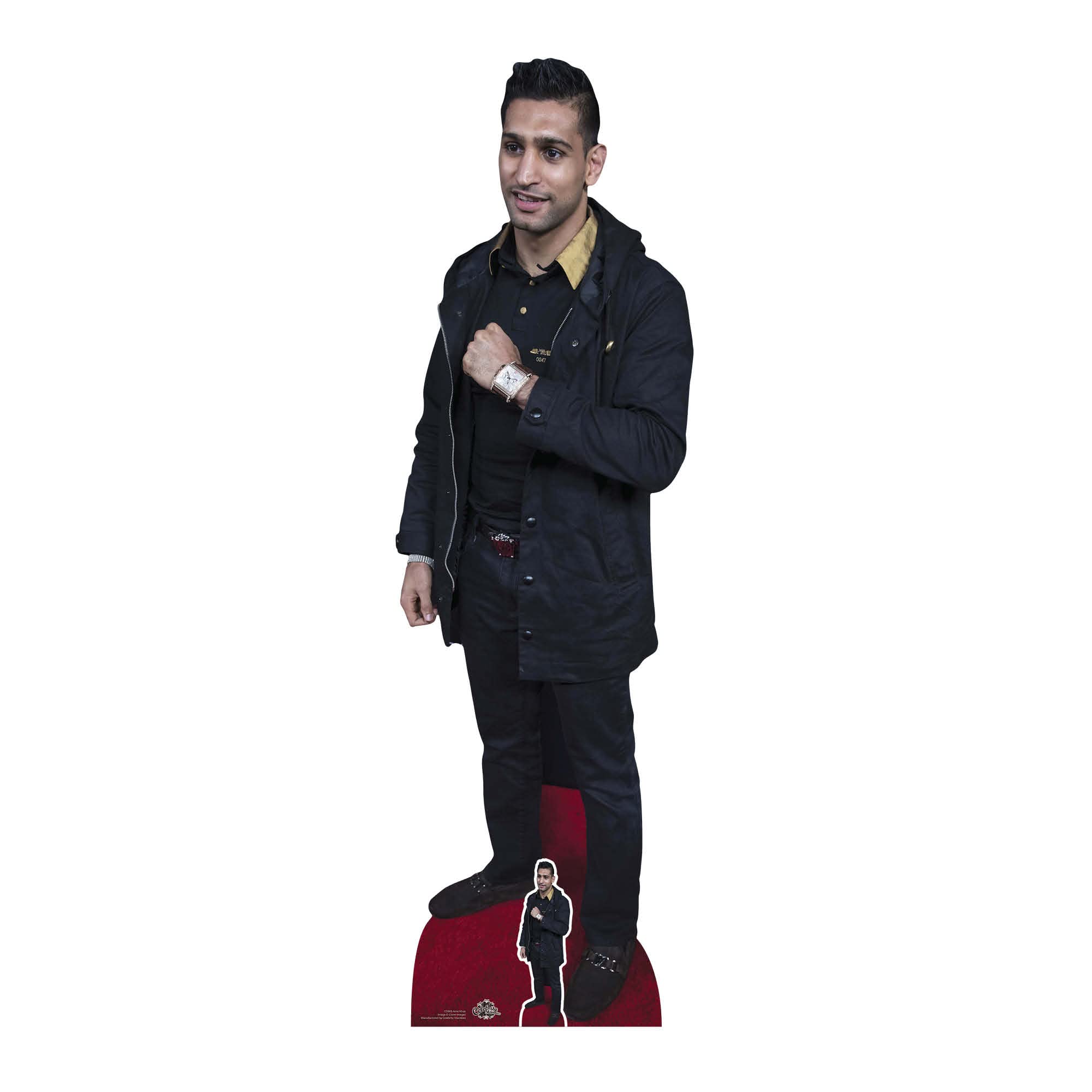 Star Cutoutscs985 Amir Khan Lifesize Cardboard With Mini | Desertcart  Seychelles