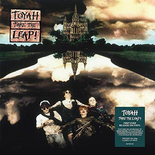 Album art for Take The Leap Plus [180-Gram Clear Vinyl] by TOYAH