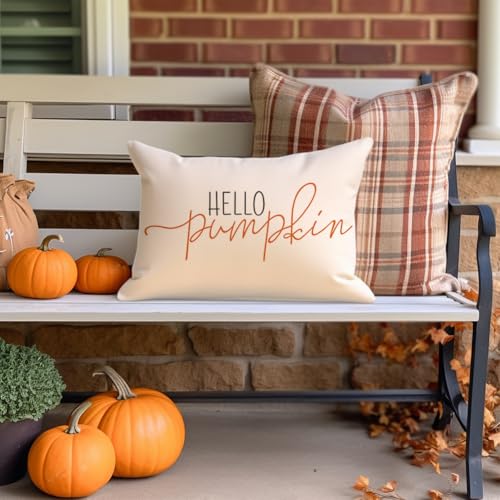 RABUSOFA Fall Pillow Covers 12x20 Inch,Autumn Hello Pumpkin Pillows Decorative Throw Pillows,Lumbar Outdoor Thanksgiving Cushion Cover Farmhosue Fall Decor for Bedroom Couch Sofa White - Image 6