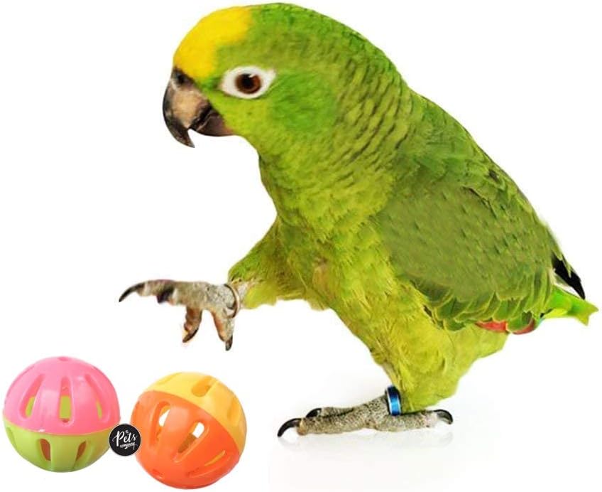 The Pets Company Bird Interactive Bell Ball, Bird Toy for Parakeet, Cockatiel, Budgerigar, Parrots, 1.5 Inches (Pack of 2)