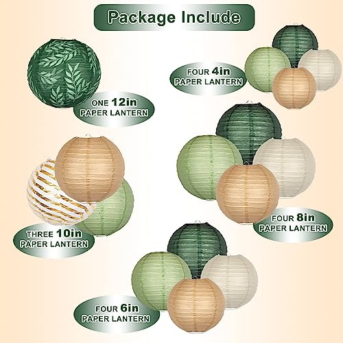 Image of 16-Pack Chinese Paper Lanterns, Sage Green Brown Party Decorations | 4 /6 /8 /10 /12-Inch Hanging Lanterns with Olive Leaf and Foil Stripes for Jungle Themes, Birthdays, Weddings and Baby Showers