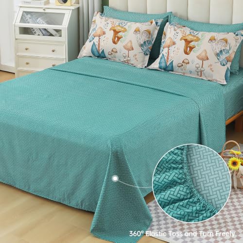 Image of Dinjoy Girls Comforter Set 6 Pieces, Twin Size Colorful Ombre Rainbow Bedding Set, Bed in A Bag for Kid Teen Girls (1 Comforter, 1 Flat Sheet, 1 Fitted Sheet, 1 Pillow Shams, 2 Pillowcases)