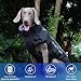 Hundemantel Wendbare, wasserdichte, mit abnehmbarem Geschirr-Design und gefaltetem Pelzkragen Kein Ziehen, kein Ersticken, kuschelige Kleidung bei kaltem Wetter für und große Hunde (6XL)