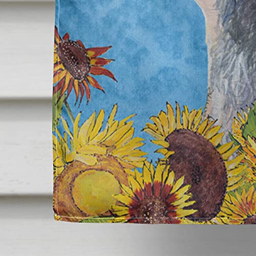 Dandie Dinmont Terrier Flag toile grand format抗褪色耐用型屋外装饰旗帜 - 5