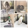 DINMO-Rabbit-Playpen-Guinea-Pig-playpen-Game-Holes-Design-Plastic-and-Matel-Design-Floor-Mat-Design-and-Bottom-Design-Connectors-Accessories-for-Choose-DIY-Visualization-Expanded-Portable-for-Small-An Unique Pet Playpen