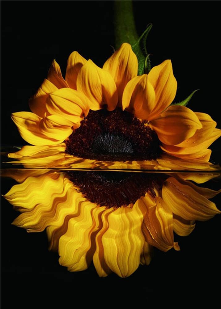 Pracht Creatives Hobby Diamond painting set, sunflower painting and accessories, size approx. 25 x 35 cm, glitter stone painting craft set for children from 5 years of age
