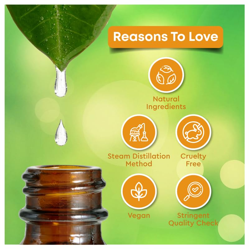 Image of Farm Blends Turmeric Essential Oil 100% Undiluted Pure | For Glowing Skin, Lightens Dark Spots, Marks, Strong Hair | Farm To Home | Natural | Corcuma longa|30ML + 30ML (Pack of 2)