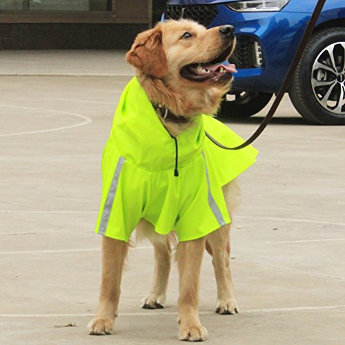 POPETPOP Impermeabile per cani con striscia