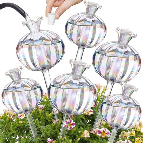 Globe d'irrigation en verre en forme de cactus irisé NiHome