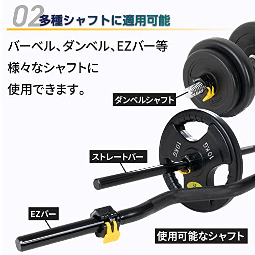 Amazon.co.jp: BODYTECH(ボディテック): ダンベル・バーベル