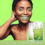 Ocuvers Lipostamin Augenspray - mit Euphrasia – 15ml Augenspray gegen rote Augen, unkonserviert auch bei Allergien, die Alternative zu Augentropfen