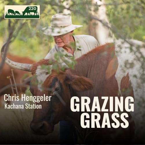 220 | Rebuilding Your Asset Base: Turning Sunshine Into Profit with Chris Henggeler