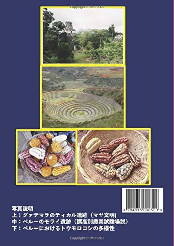 ブリテン資本主義下のアイルランド農業 ブリテン資本主義下のアイルランド農業｜出版｜思文閣 美術品