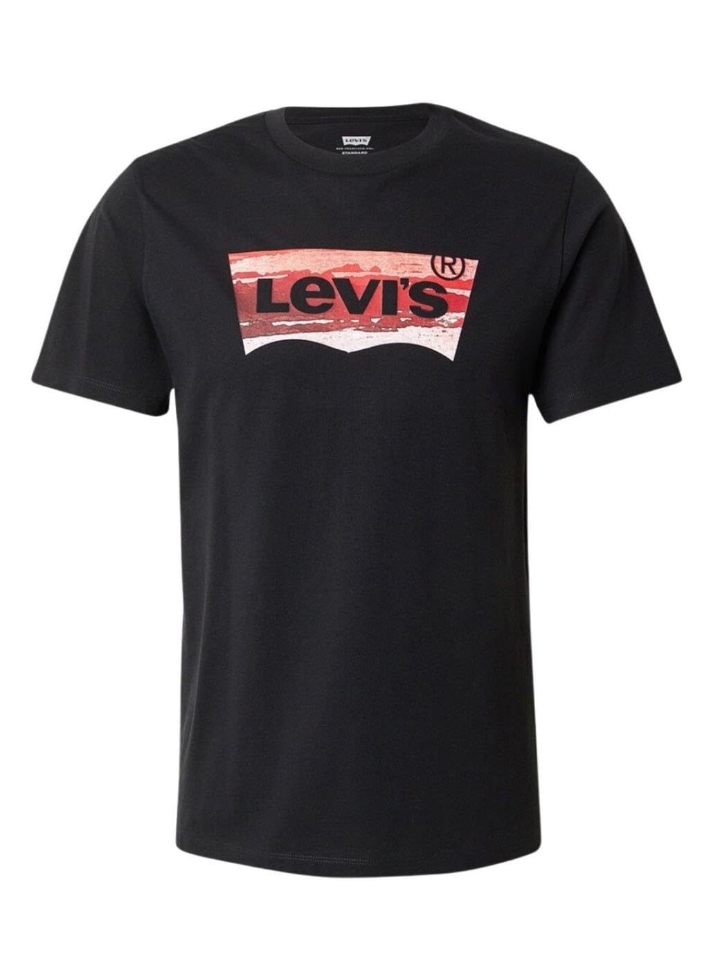 Levi's Graphic Crewneck Tee Coastal Filled Bw 2