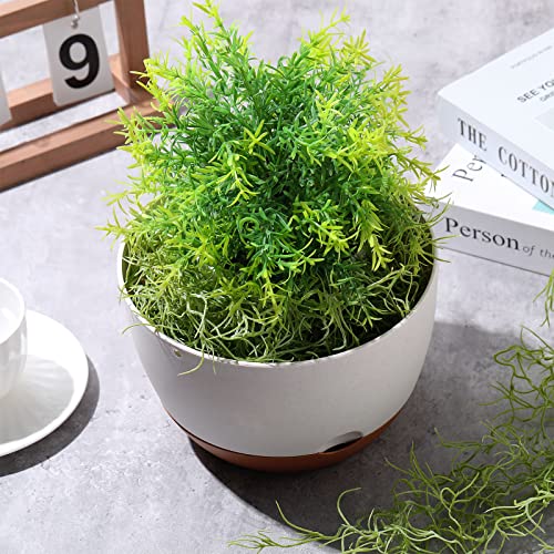 Optimisation de visibilité pour décoration végétale intérieure extérieure - 5