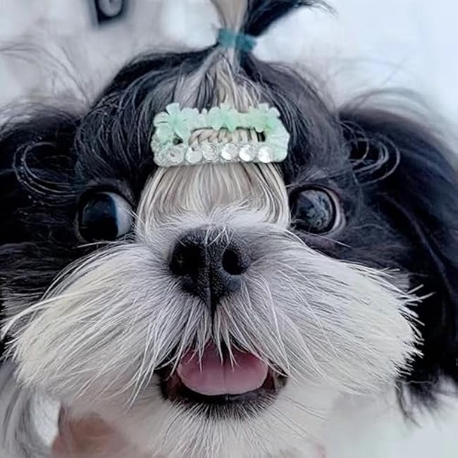 Pet Hair Styling Gel Eyelashes Nose Hair for Dogs, Cats, Schnauzer, Maltese, Long Hair Small Dogs-he3wtAYO