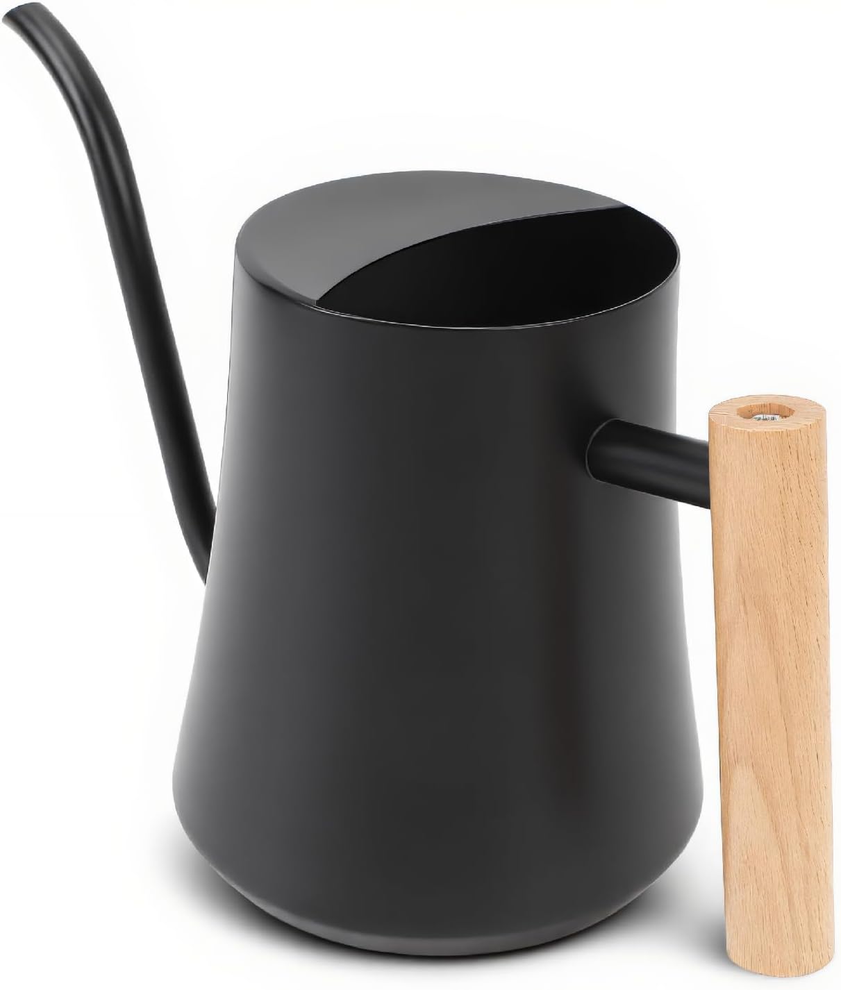 Dpofirs Indoor Watering Can, Stainless Steel Watering Pot Decorative 1L for Succulents for Plants (Matte Black)