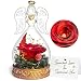 Produktbild Ewige Rose Geschenke, Ewige Rose in Engel Glaskuppel, Konservierte Blumen Handgemachte Ewige Rose für Frauen Freundin Mutter zu Valentinstag Weihnachten Geburtstag (Rot) 1×stück
