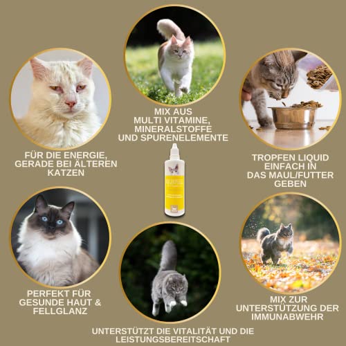 EMMA Katzen Vitamine Multivitamin 100 ml | Vitamin B Komplex mit B12 B6 B1 A D3 E | Mineralien Folsäure Eisen Zink Selen & L-Lysin | Immunsystem stärken, Fell & Stoffwechsel Katze