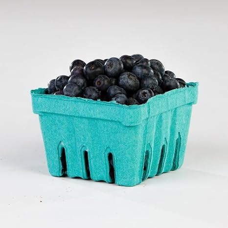 Pactiv 1 Quart Sized Garden Party Berigard Berry Basket Molded Fiber Green | 297/Case