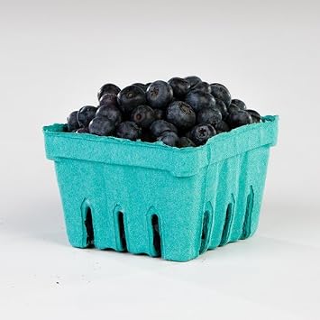 Pactiv 1 Quart Sized Garden Party Berigard Berry Basket Molded Fiber Green | 297/Case