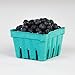 Pactiv Garden Party Berigard Berry Basket Molded Fiber Green, 1 qt. | 297/Case